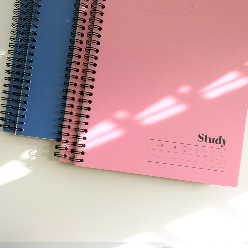 건망증GMZ 더메모 스프링노트 컨텐츠 스터디노트 4권세트 (핑크2 블루2) 15,300원