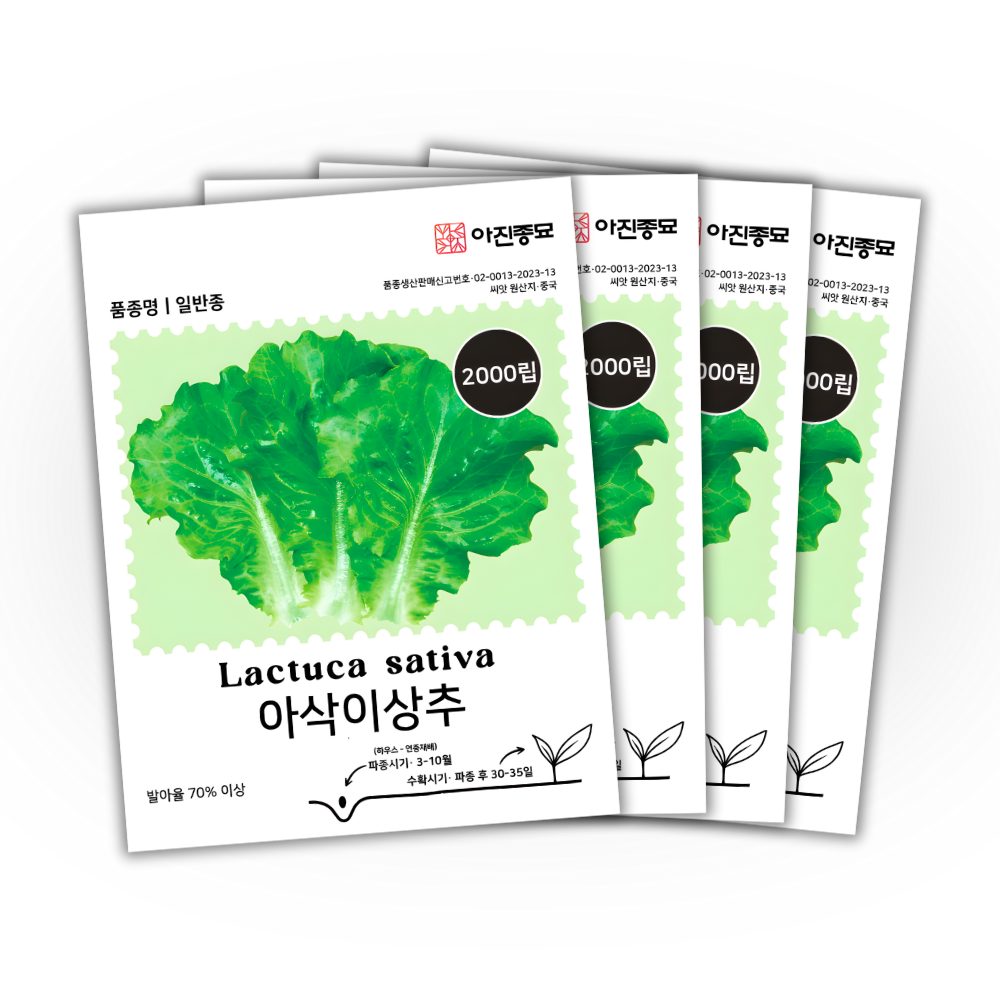 [주주씨앗] 아삭이상추 씨앗 2000립 / 인기 쌈채소 생채상추 종자, 4개 8,000원