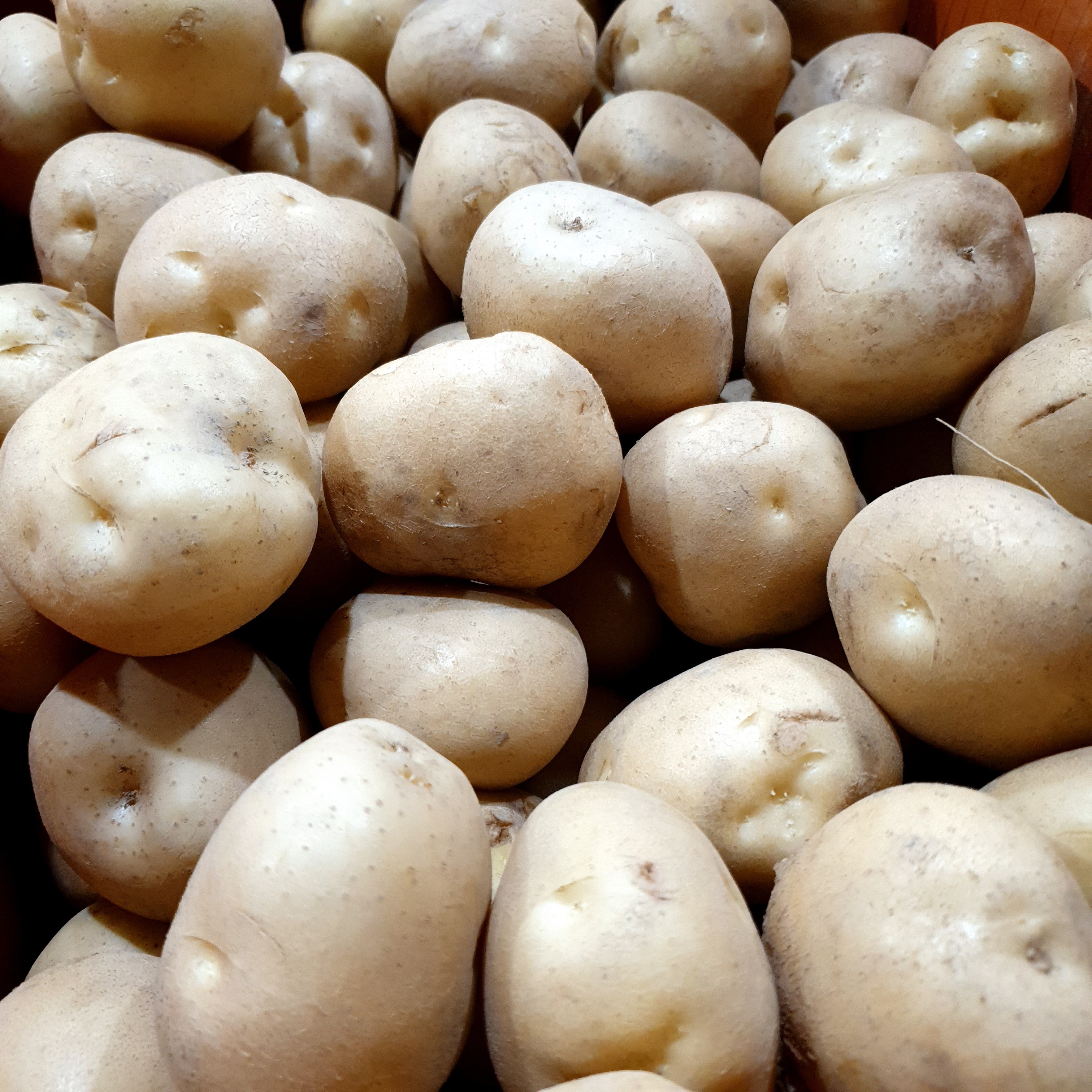 정든농산 햇감자 수미감자 알감자 제주 강원도 밀양, 1박스, 20kg 52,000원