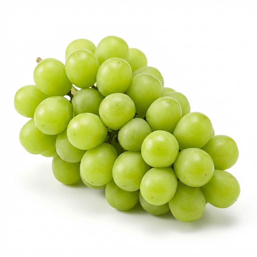 경북 김천 샤인머스캣 달콤한 고당도 프리미엄 포도 실속형 특등급 선택, 1박스, 특등급 샤인머스캣 1.2KG(1수) 14,900원