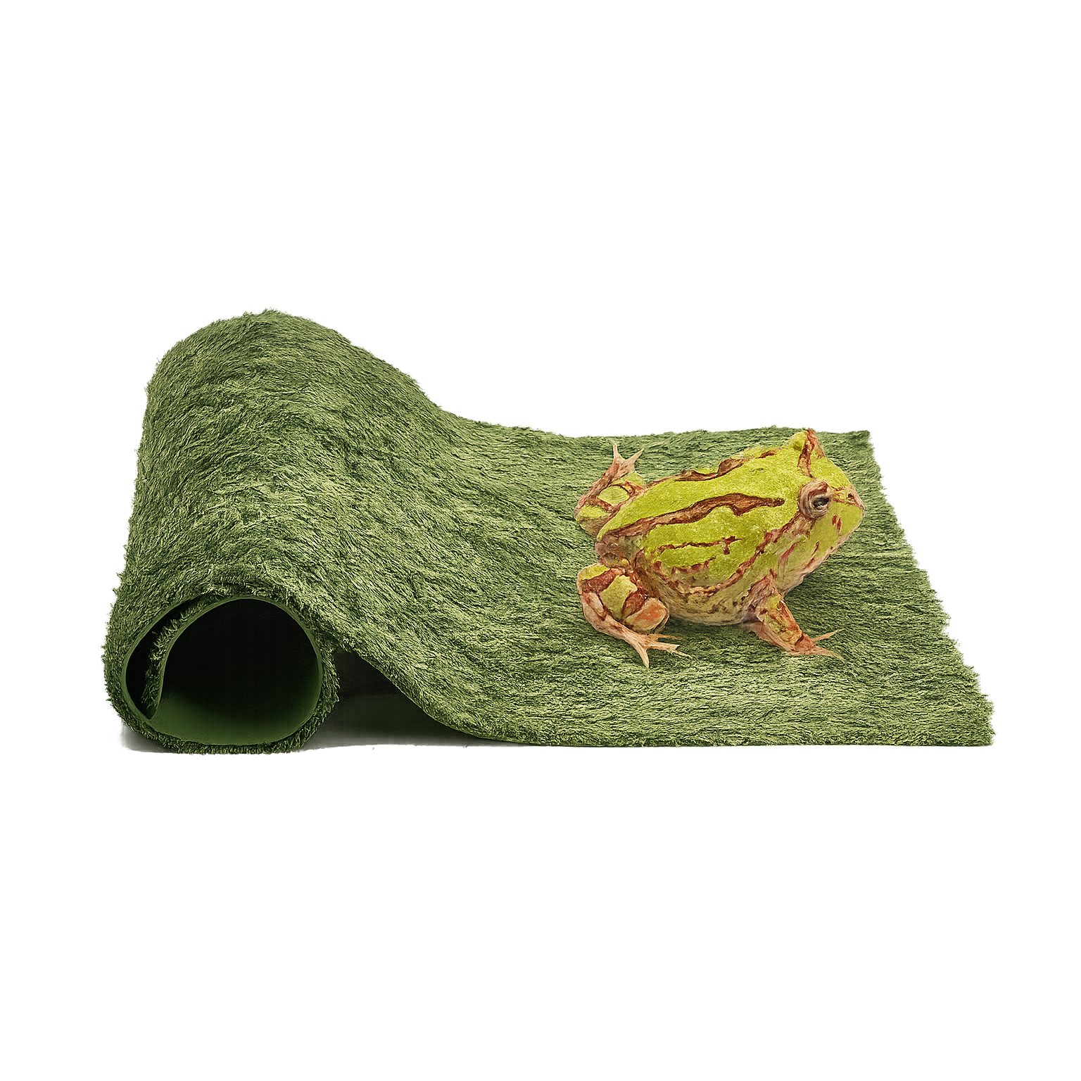 렙티언즈 크레스티드 게코 전용 카페트 매트, 2개 21,900원