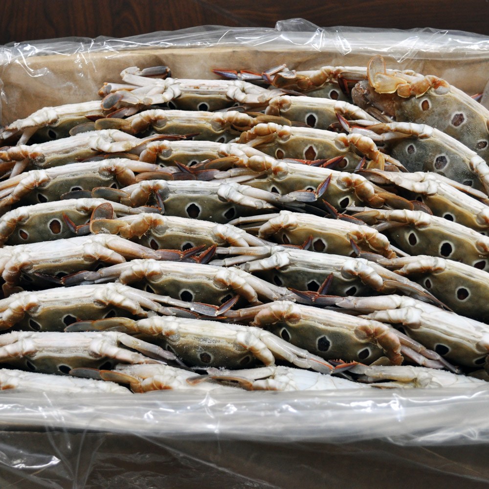 푸드마을 냉동 숫꽃게 삼점게 100.150 3kg(24미 내외) 6kg 꽃게 숫게 간장게장 양념게장 43,500원