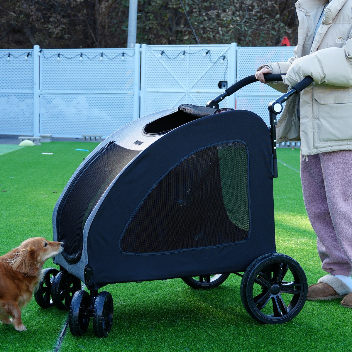 다퍼남 대형견 유모차 펫카트, 현재가 149,000원