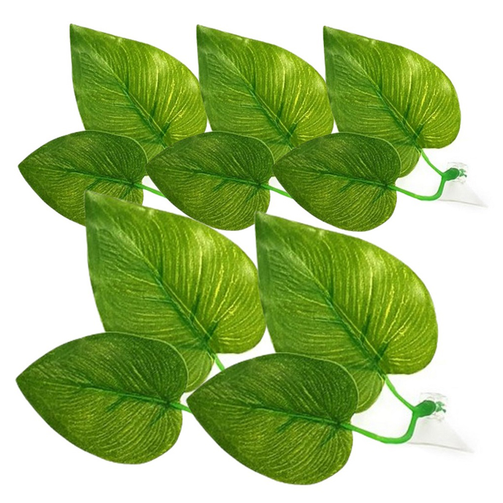 아쿠아테라 은신처 베타 침대, 5개, 현재가 7,400원