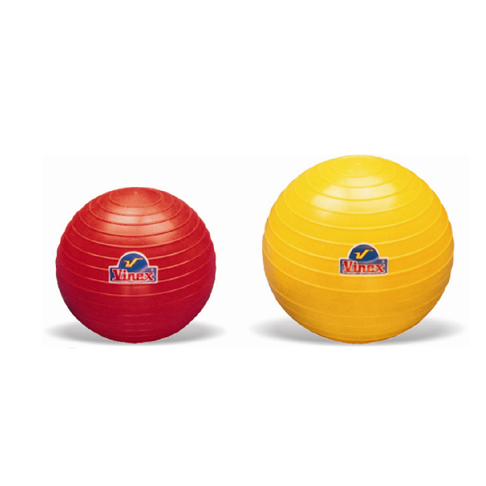 다우리 포환 연습용 실내외겸용 3kg 51,900원