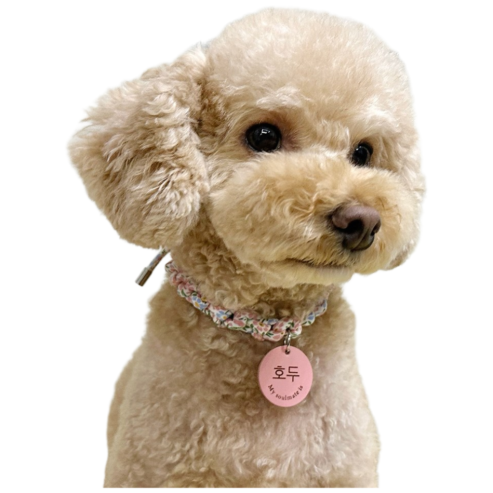 꽃페브릭빵줄 소형가죽팬던트 강아지 고양이 목걸이 인식표무료각인, 1개, 찐핑크 22,000원