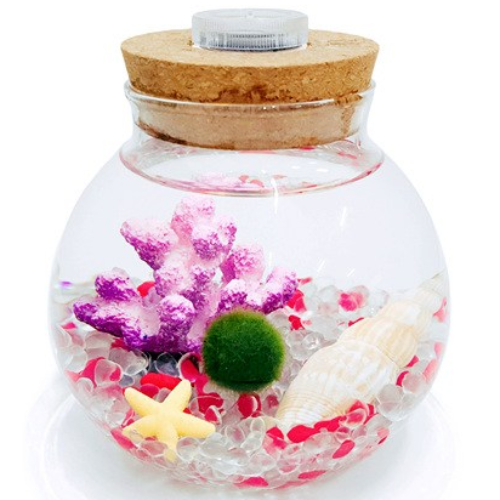 미니가든 LED조명 원형라이트(소) 마리모(중) 키우기 세트 어항 20,900원