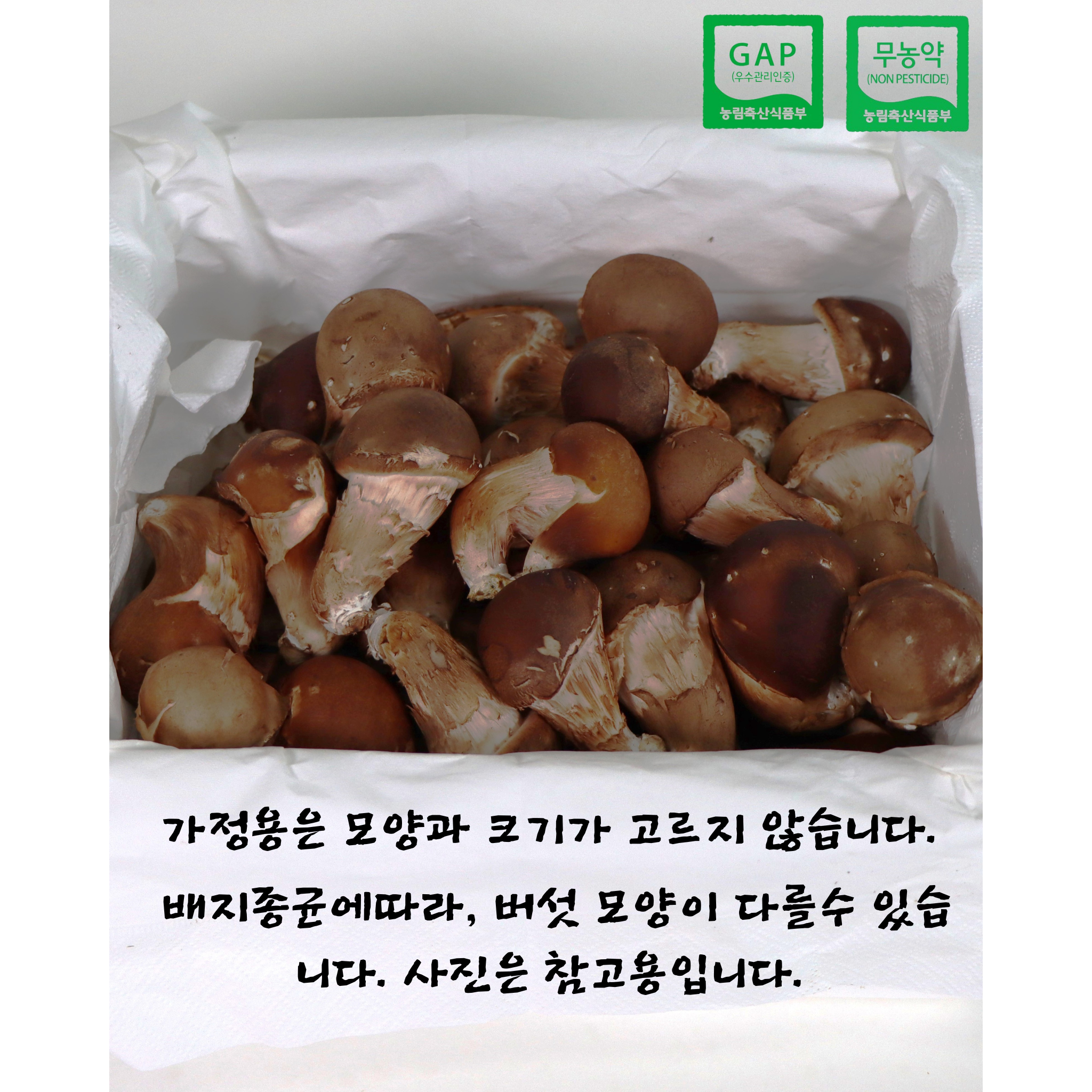 무농약/GAP인증 참송이버섯 가정용500g 1kg 2kg 4kg 건강한 밥상, 향긋한 자연 84,000원