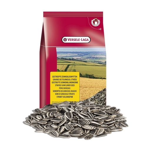 버셀라가 해바라기씨, 600g, 1개 4,550원