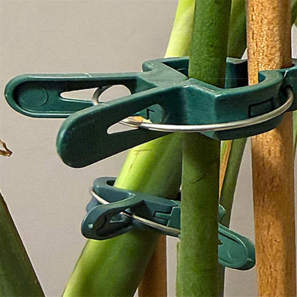 20P 원예용 식물 고정 집게 소 대 작물 줄기 가지 유인 고정핀 원예 농사 화분 수형 집개 클립 2,000원