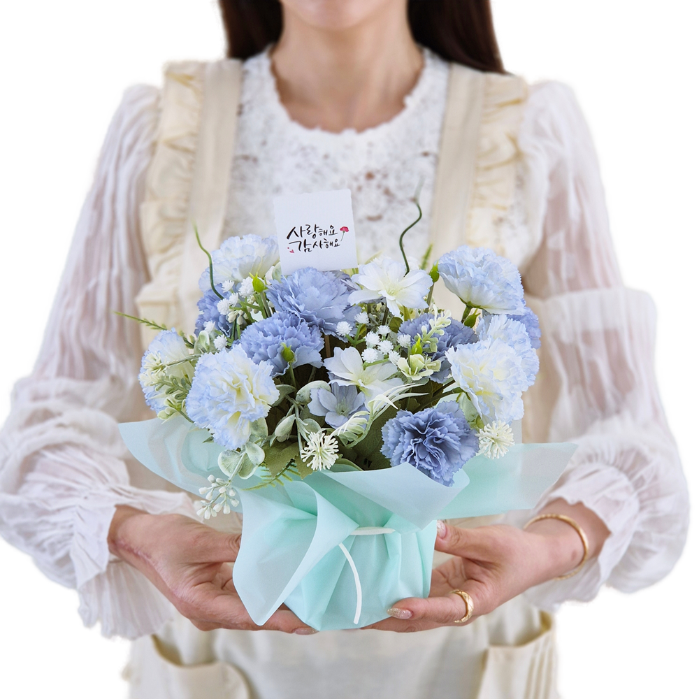 카네이션 화분 포트 꽃바구니 어버이날 부모님 스승의날 선생님 선물 유치원 어린이집 행사 단체 조화 세트 18,500원