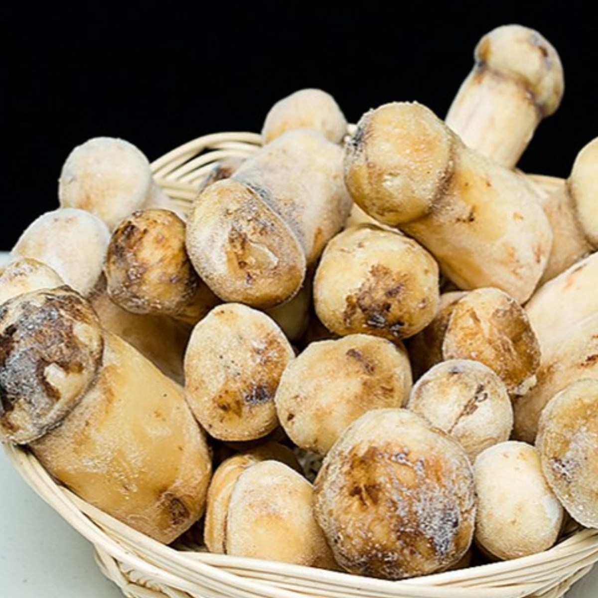 (청림송이,능이) 자연산 냉동송이버섯 (특품), 1개, 냉동송이/M/1kg 82,500원