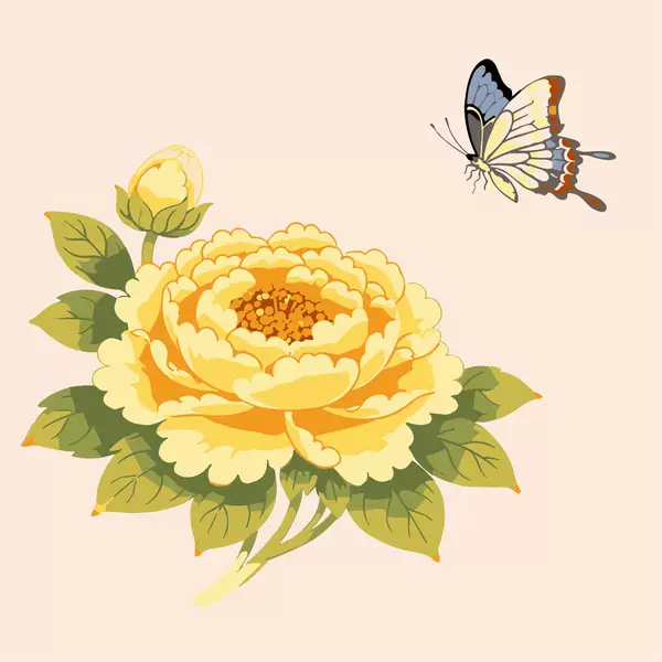 보코니 돈이 들어오는 복그림 쉬운 명화 유화 그림 그리기 DIY 세트 20 X 20 cm, 민화 감성 노란 모란꽃 나비 행운 입성, 1개 19,900원