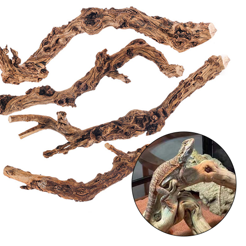 그린스하비 파충류 유목 대형 30~40cm, 1개, 브라운 14,000원