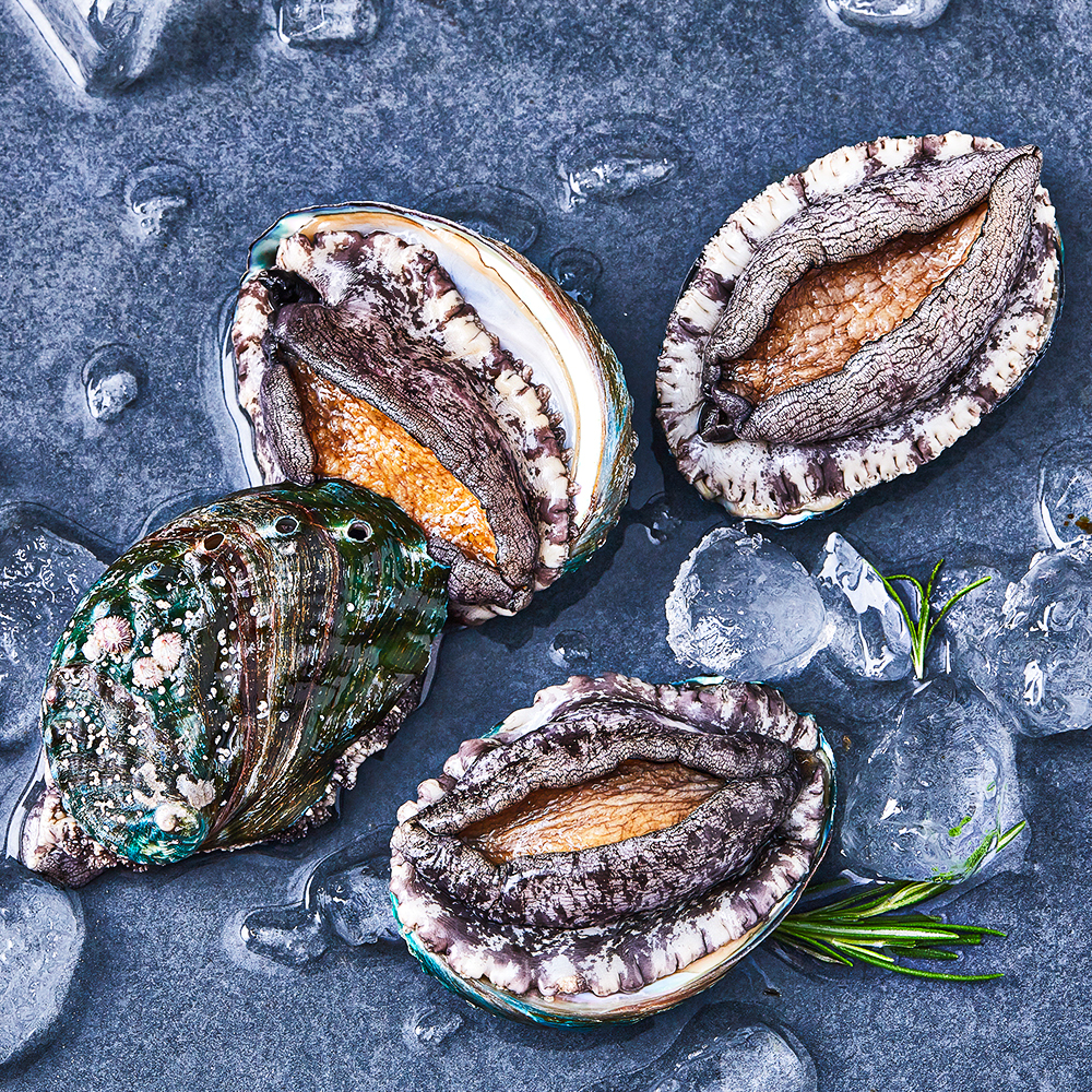 [로켓프레시] 아라보감 완도 산지직송 전복 (냉장) 9,350원