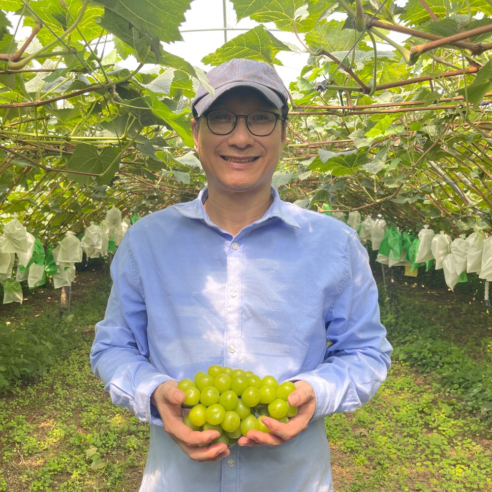 전남 나주 산지직송 완숙 프리미엄 고당도 망고포도 샤인머스캣 포도 실속형 샤인머스켓 특품 30,000원