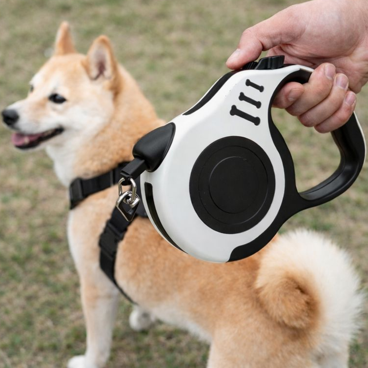 소소하우 산책필수 꼬임방지 자동 리드줄 11,900원