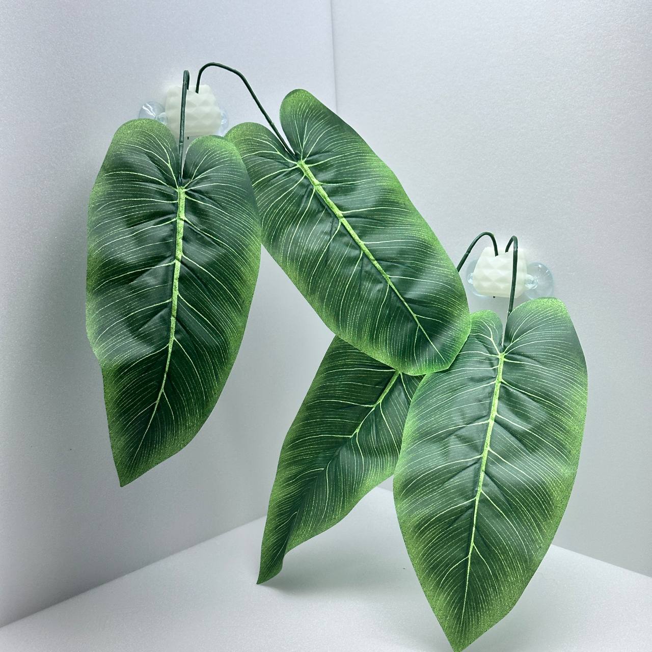 테라돔 테라리움 야광정글 파충류 도마뱀 은신처 꾸미기 칸나잎 2개 9,800원