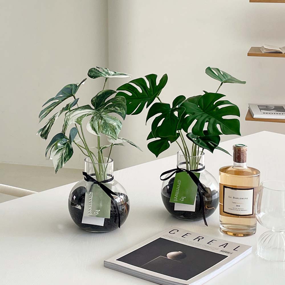 그리밋 리얼플랜트 알보 무늬 몬스테라 조화 49,000원