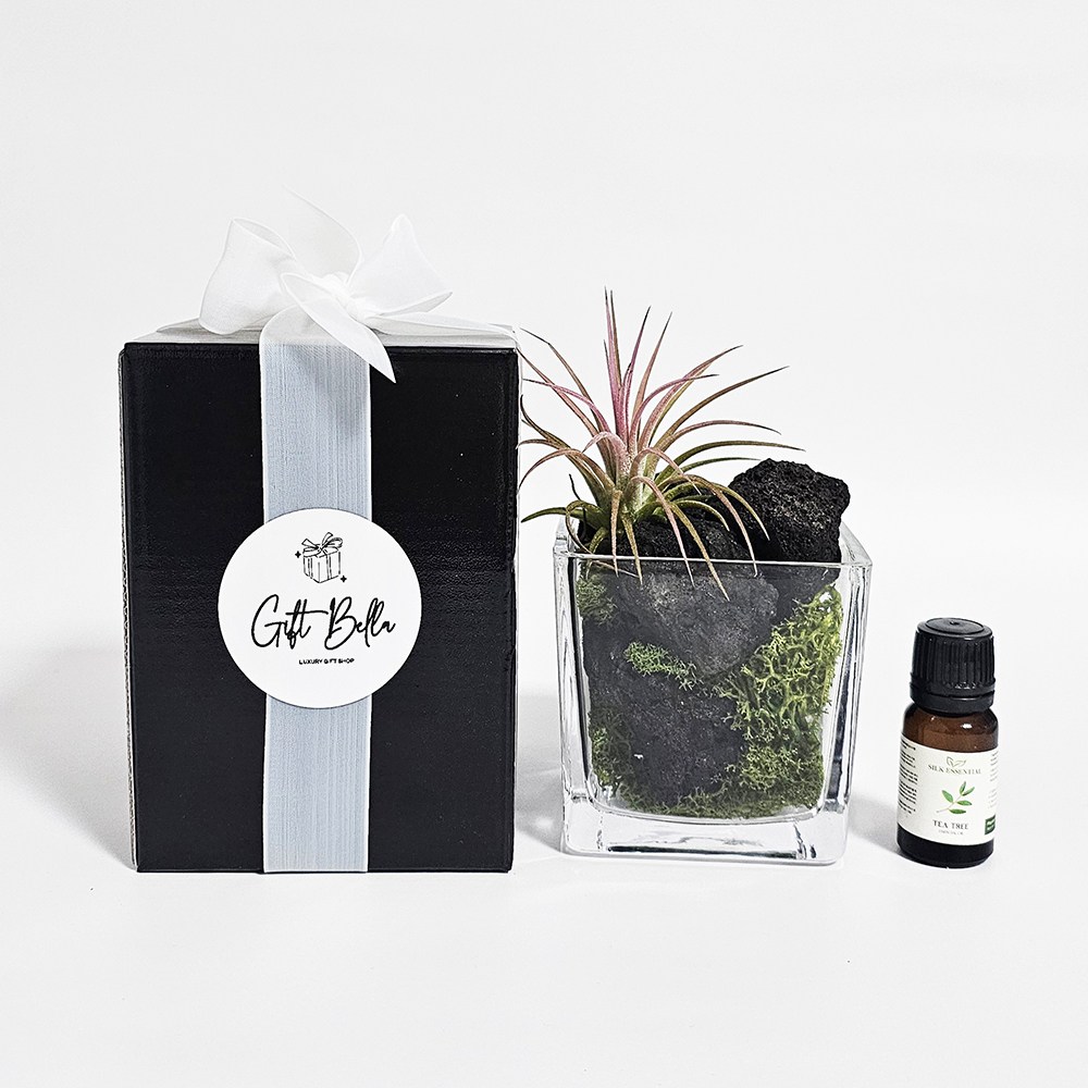 기프트벨라 자연을 담은 화산석 스톤 실내 아로마 방향제, 이오난사추가, 우드세이지 23,900원