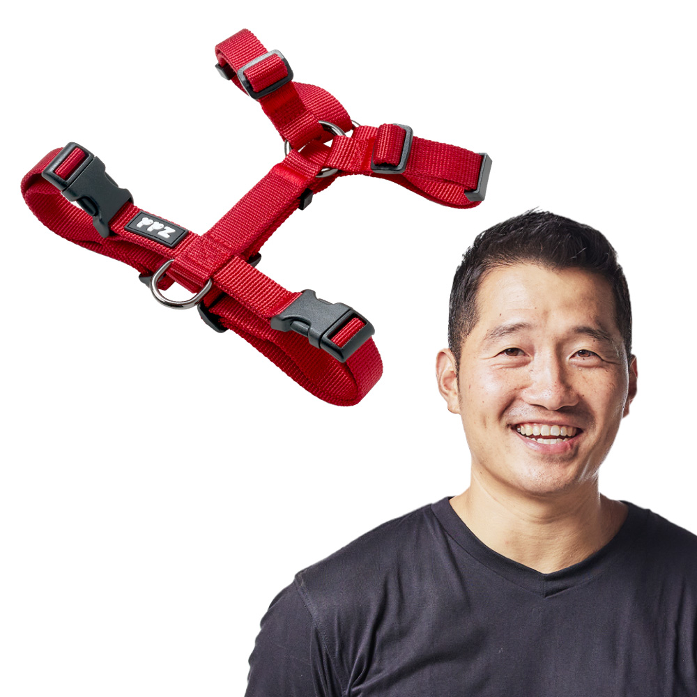 강형욱 추천 퍼피즈 어드벤처 가슴줄 (기본형), 강아지 하네스 산책줄 41,000원