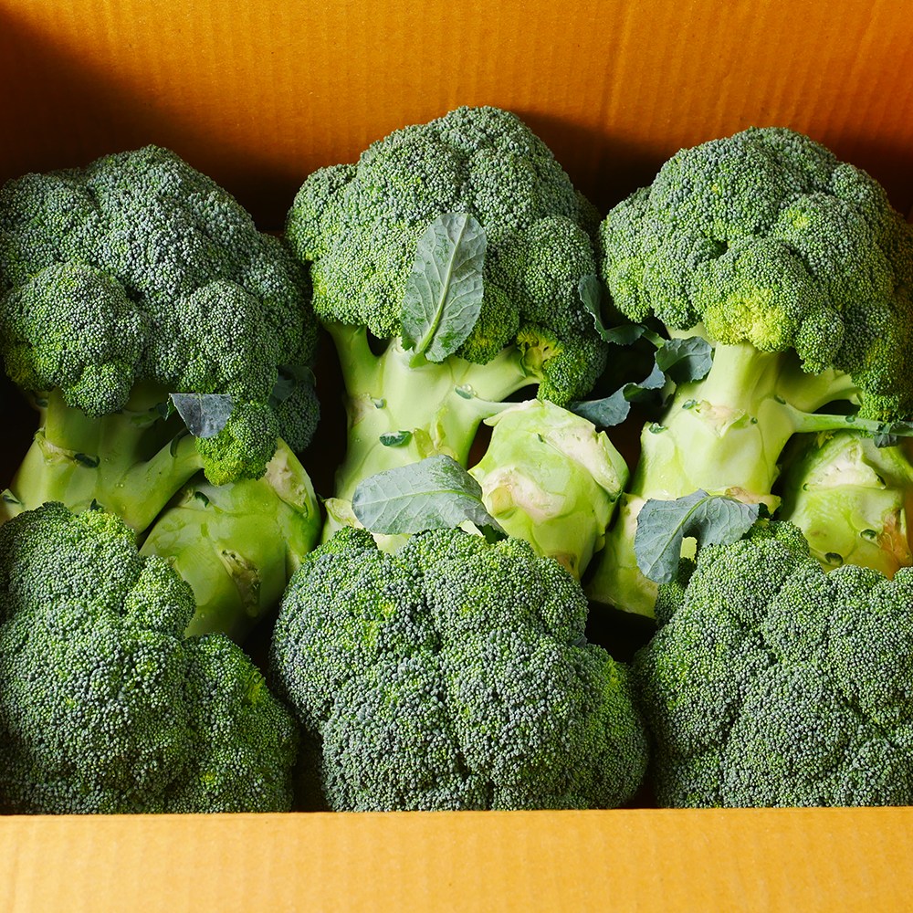 야채삼촌 브로콜리 특품 11,900원