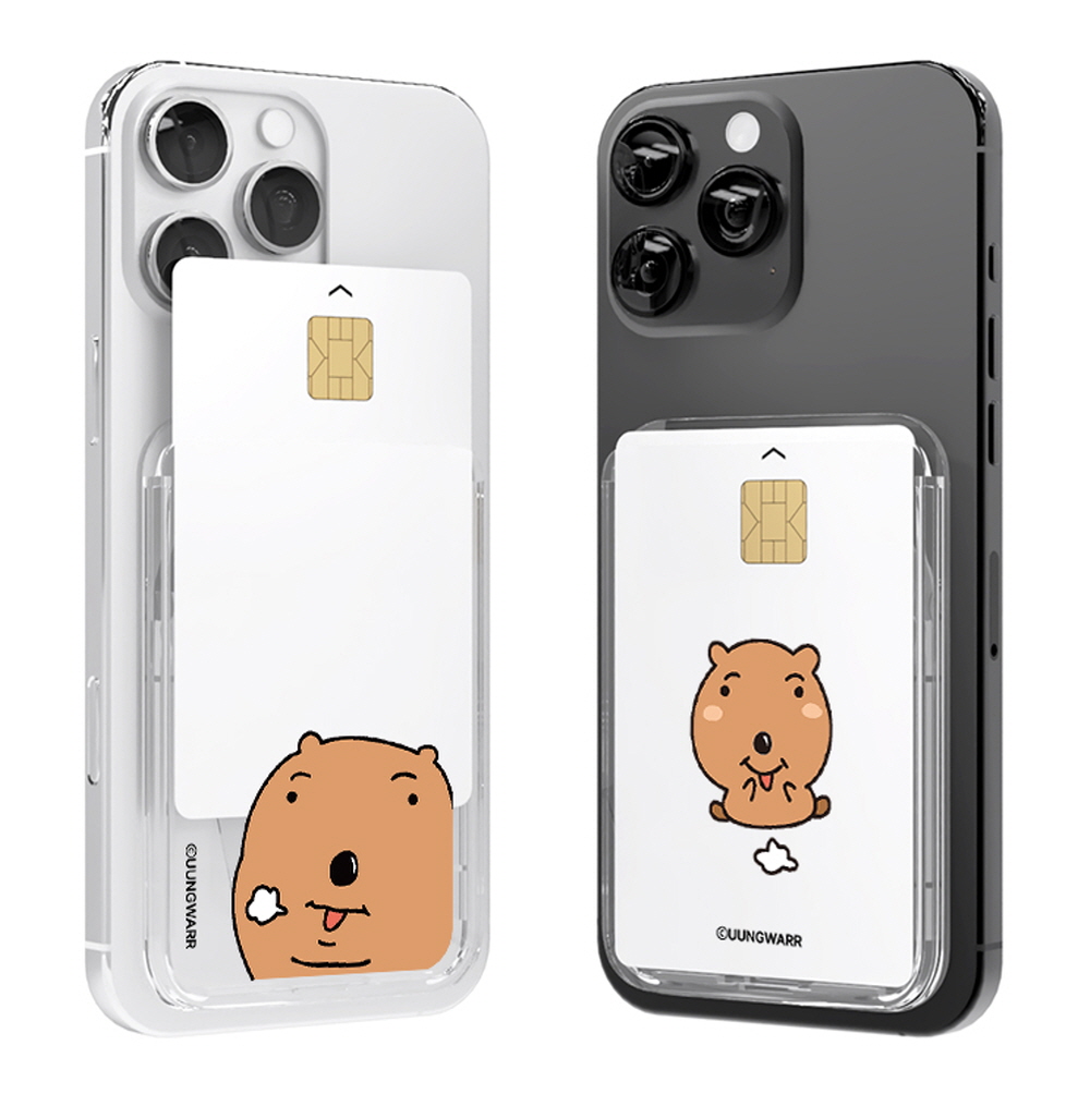 극락쿼카 맥세이프 투명 슬라이드 카드지갑 케이스 카드3장 수납 강력한 자력(클리너증정) 18,900원