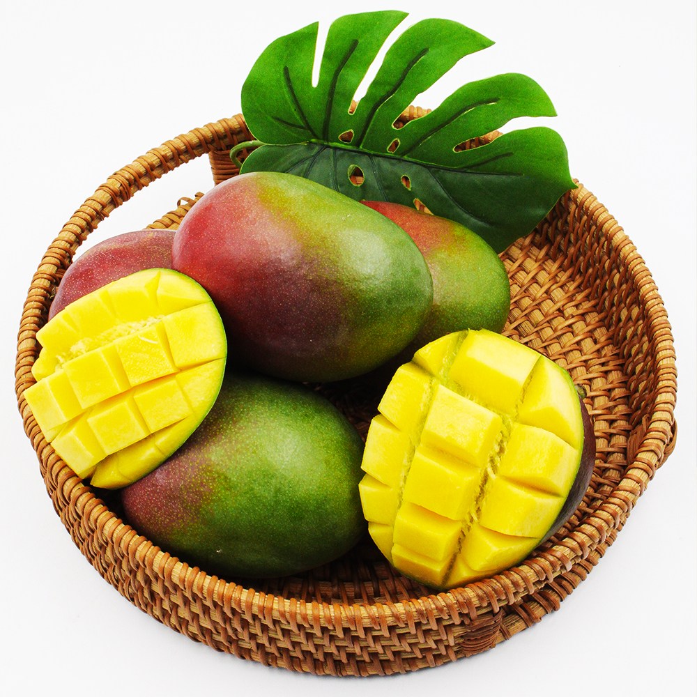 태국 망고 골드망고 애플망고 항공직송 24,400원