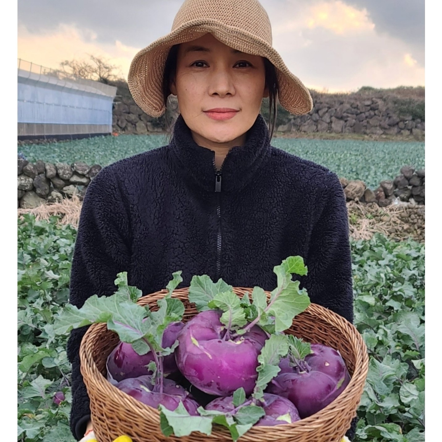 제주에서 농부가 보내는 단맛 콜라비 특상품 3kg,5kg,10kg, 5kg, 1박스 28,500원