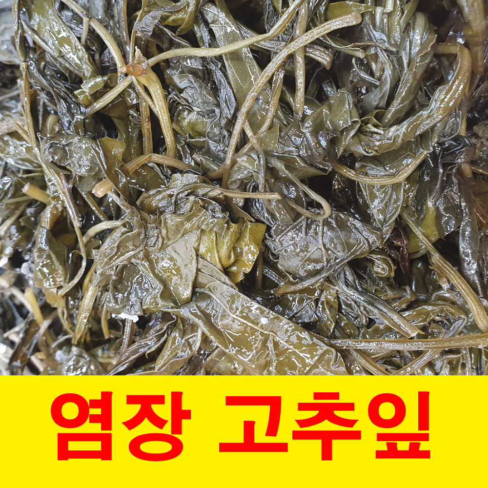 건영푸드 염장 고추잎 1kg 장아찌 소금 고춧잎 10,900원