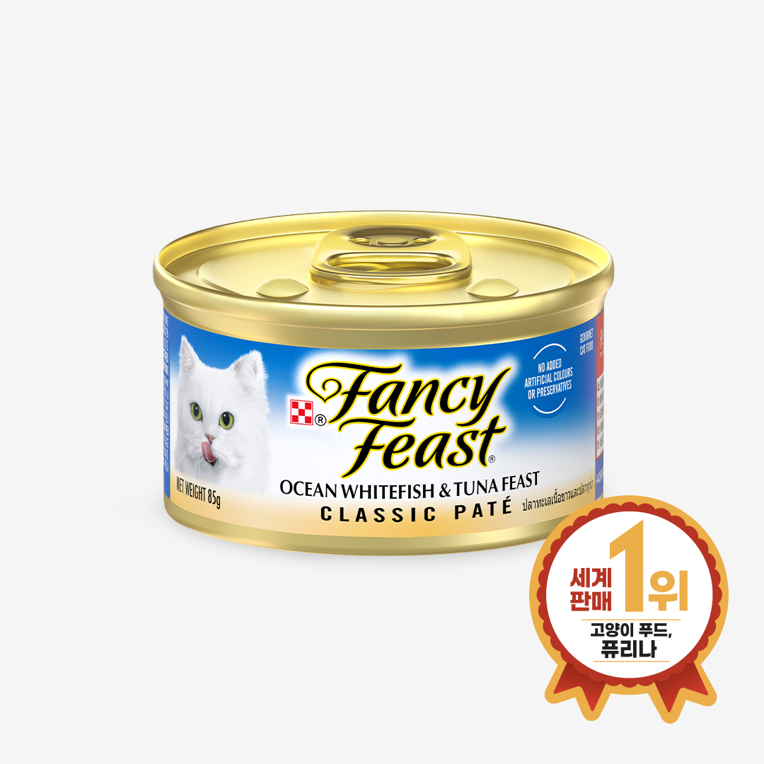 팬시피스트 연어 주식캔 3,000원