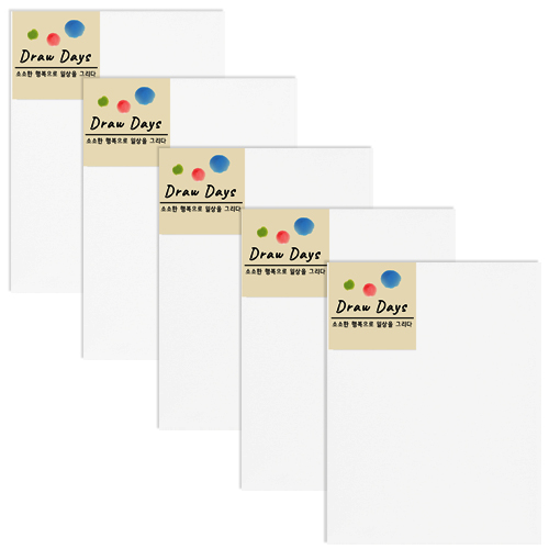 드로우데이즈 면천캔버스 P형 30x40cm, 5개 18,440원