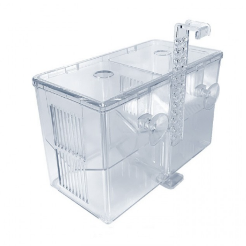 걸이식 아크릴 부화통 구피 열대어 치어 부화통 투명 어항 부상용 산란통, 1개 24,900원