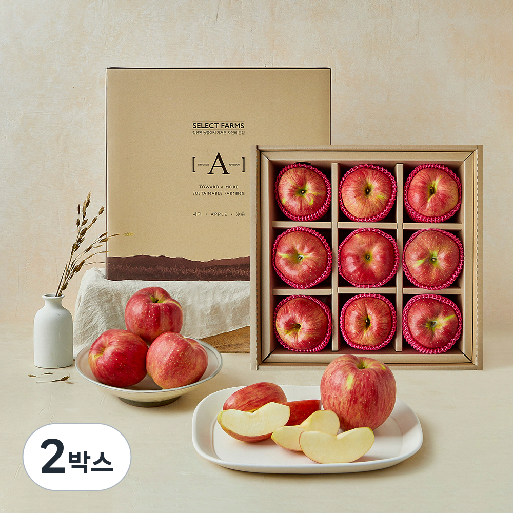 [로켓프레시] 셀렉트팜 A 사과 선물세트 9입 81,980원