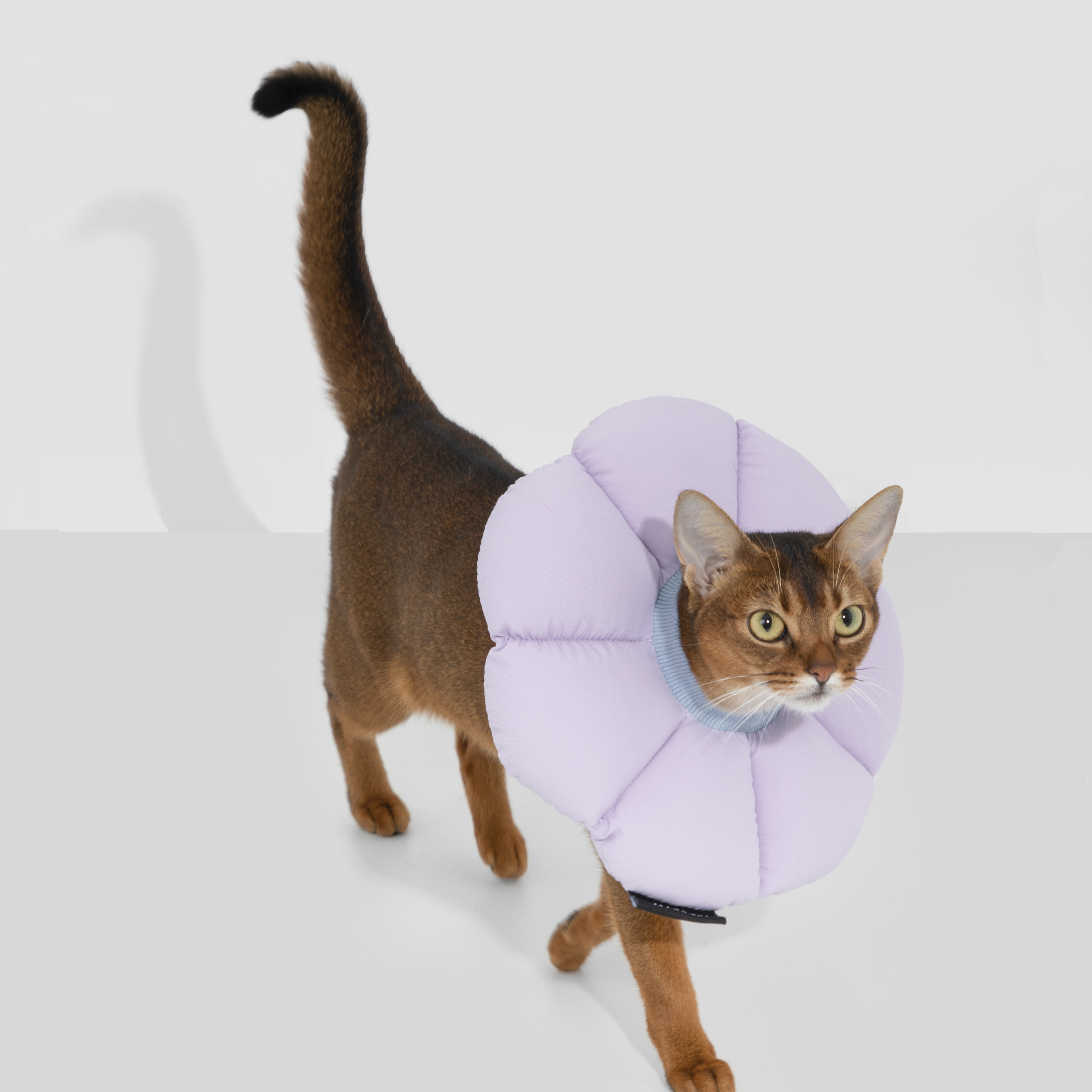 하이드림 마카롱 플라워 방수 넥카라 20,250원