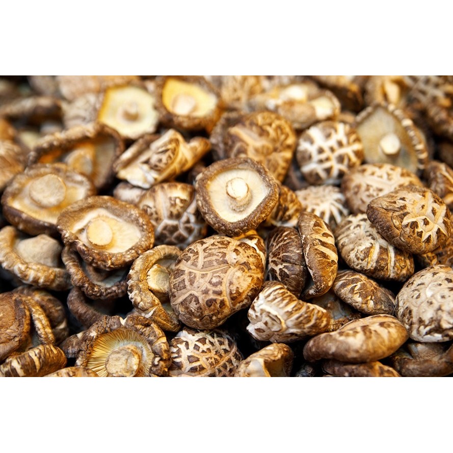 [명품표고버섯] 마수아 백화고 세트 2호 500g, 향이 깊은 표고버섯, 1개, 500 176,980원