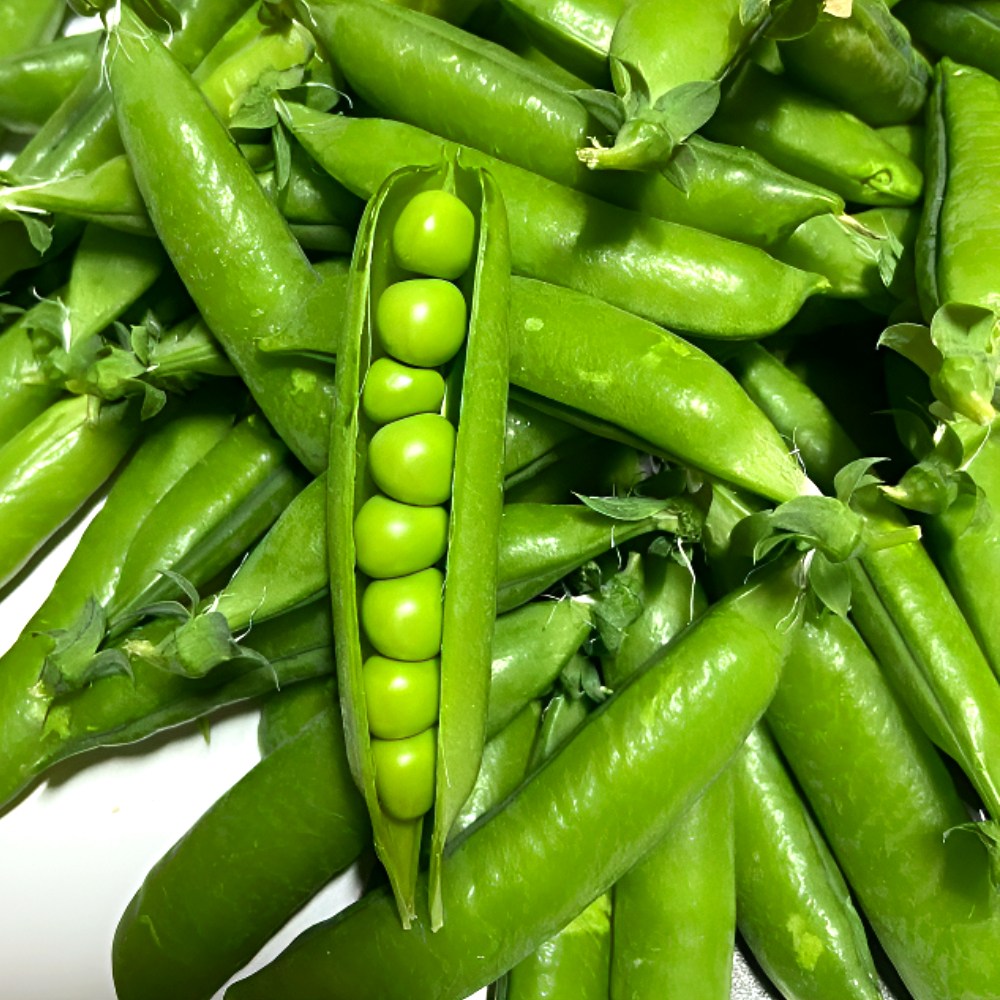2026년 최상품 국산 껍질 완두콩 풋콩 1kg 2kg, 1kg, 1개 14,900원