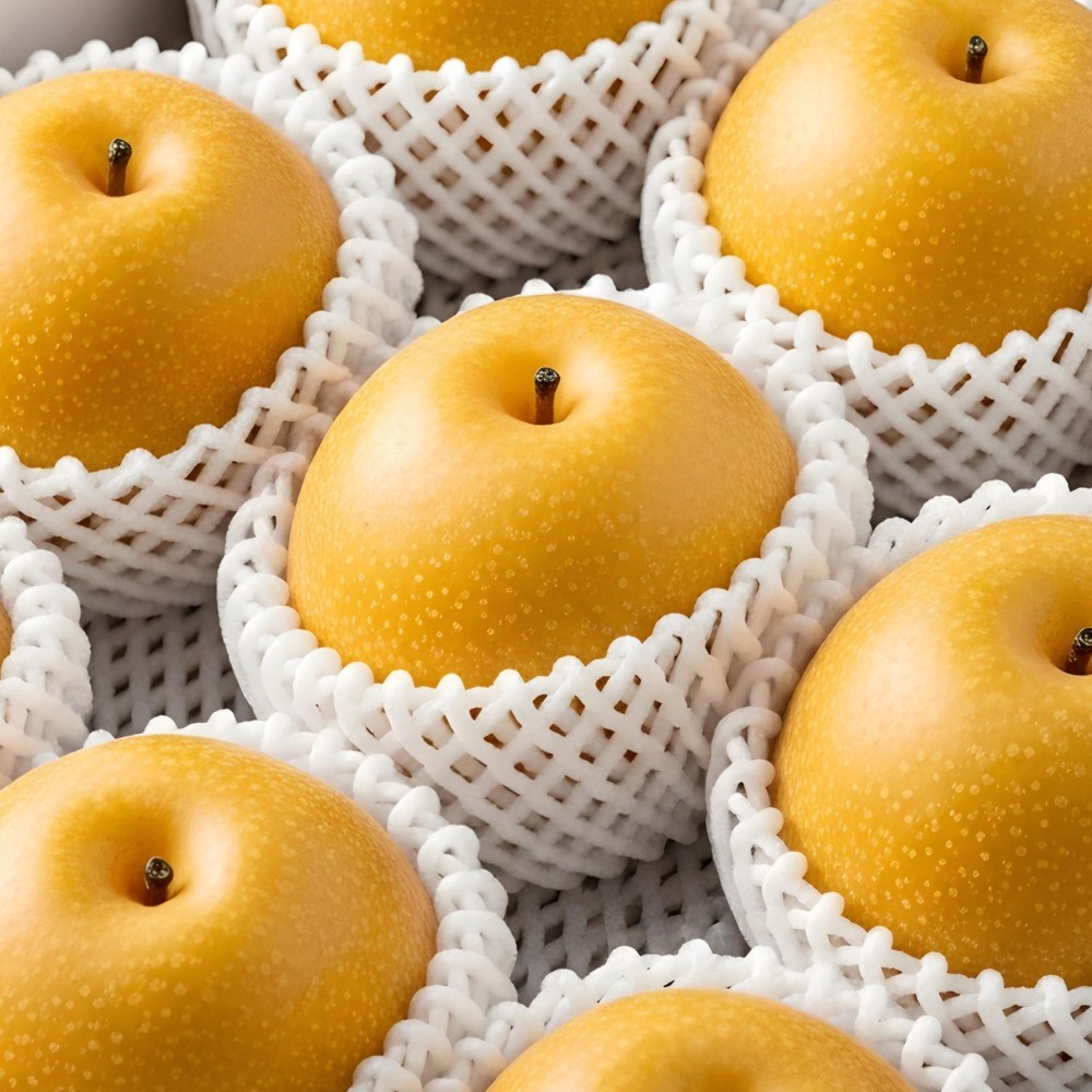 농부를 찾아서 고당도 나주배 대과, 1박스, 5kg(8~9과), 현재가 22,500원