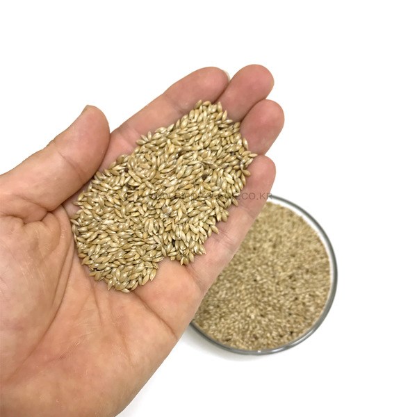 물세척 고온건조 카나리아씨드 소형 앵무새 먹이 카나리아 핀치새, 1개, 100g 1,300원