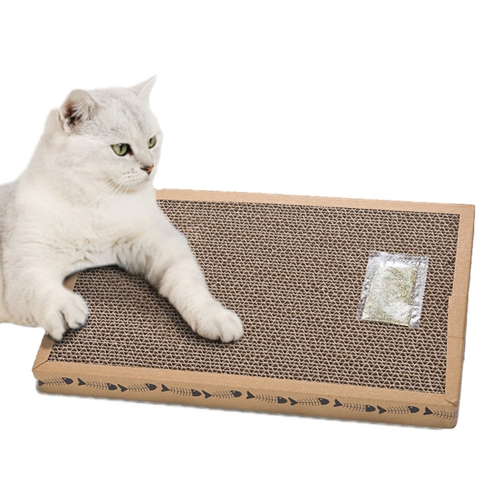 PETCA 고양이 평판형 고양이장난감 대형 스크래쳐 5개입, 5개 59,000원