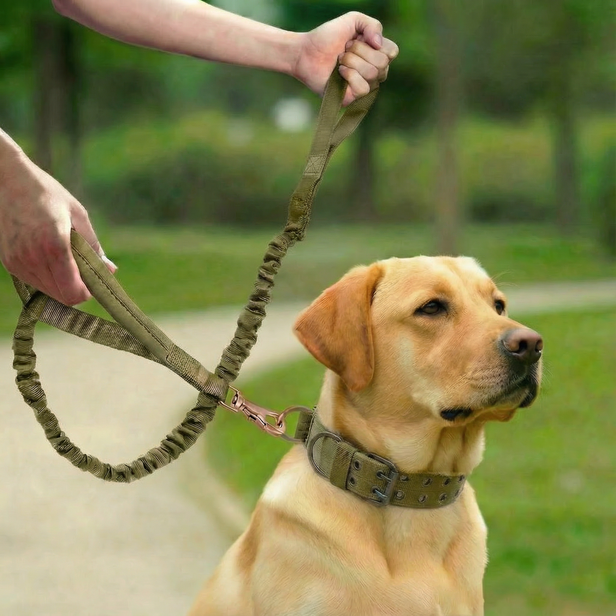 더트롱 대형견 중형견 벨트 목줄 리드줄 세트 14,800원