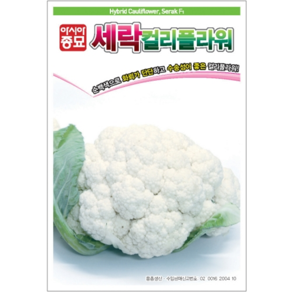 브로콜리 얼리유 씨앗 2500립 브로콜리 종자 씨 씨앗 아시아종묘 31,000원