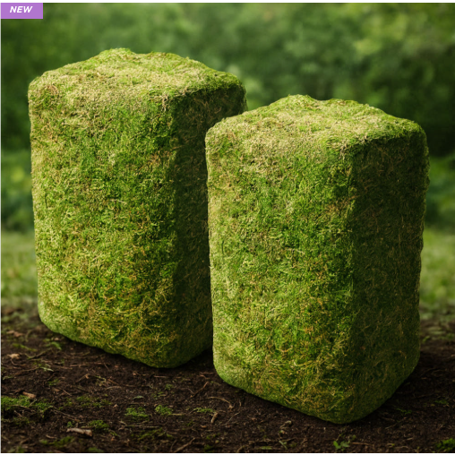 자연산 건조 생이끼 4.8kg 인삼 새씩삼 산삼 더덕 포장 화분장식 테라리움 분재 분경 석 목부작 원예용 정원조경 인테리어, 1개 78,000원