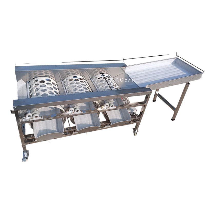 과일 선별기 스텐 귤 오렌지 감 분류기 기계 1,376,000원