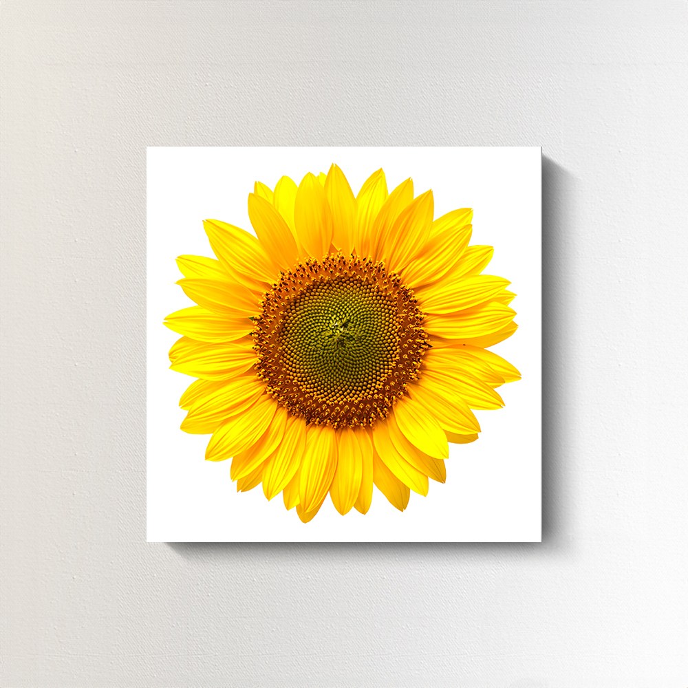 해바라기액자 해바라기그림 풍수액자 돈들어오는그림 가게개업선물 집들이선물 13,800원