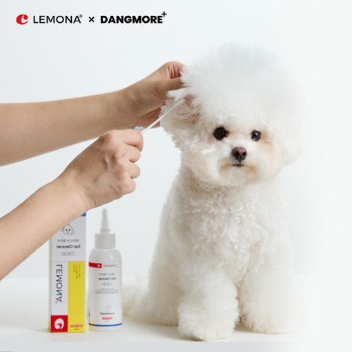 레모나 X 댕모어 이어 클리너 플러스 20,900원