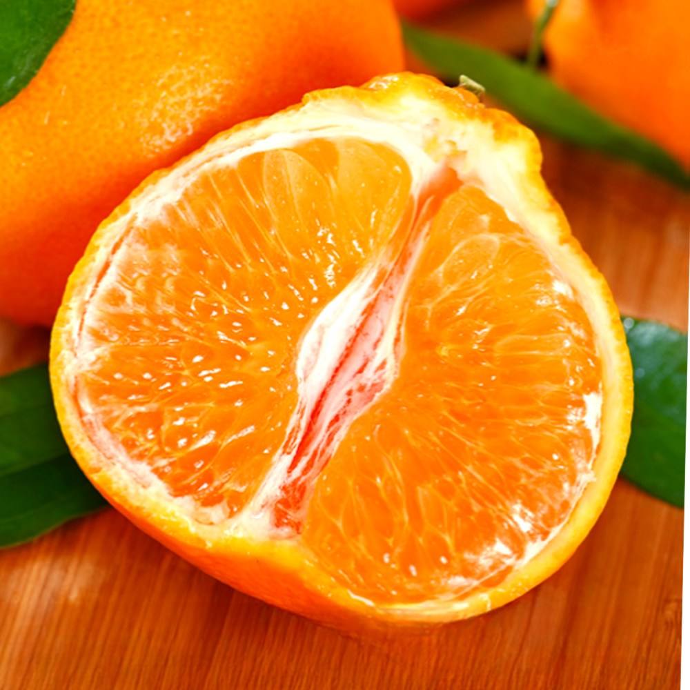 [3일간초특가] 고당도 새콤달콤 제주 한라봉, 1개, 5kg 21,400원