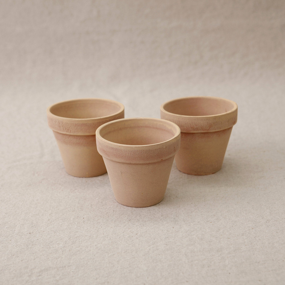 morningscent 바소 스탠다드 화분 6,610원