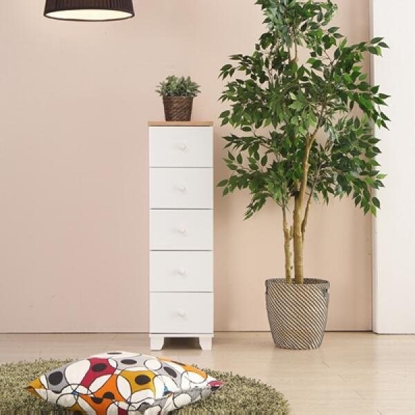 아트박스/플레인홈 포멀 5단 서랍장 300, 화이트 66,500원