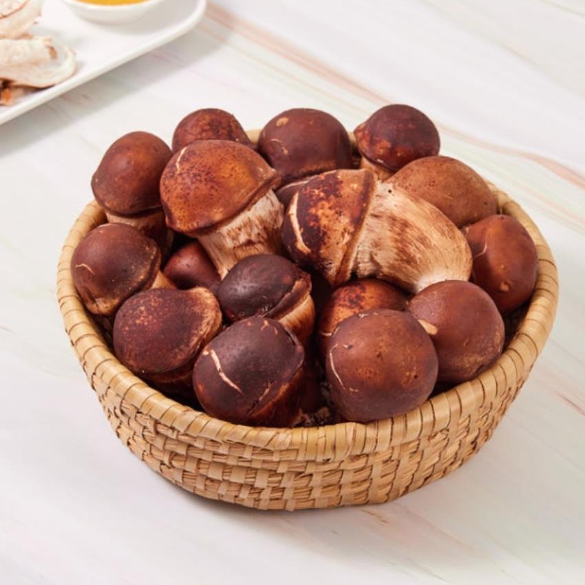 (농가직송) GAP인증 미네랄 먹은 생참송이 버섯 500G 54,840원